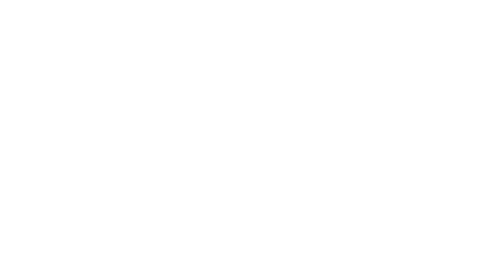 The Dynamic System