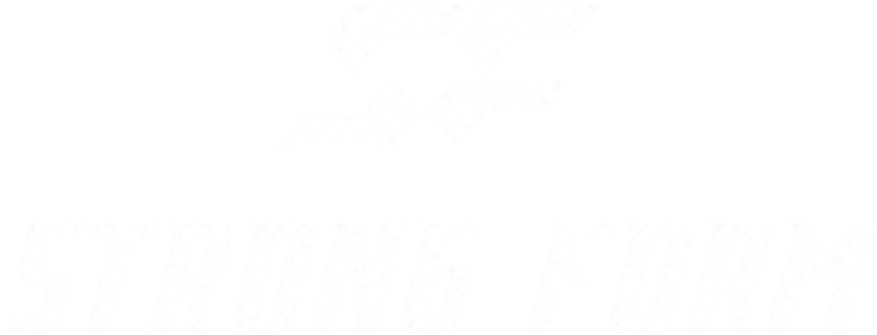 Strong Form · Abel Pérez
